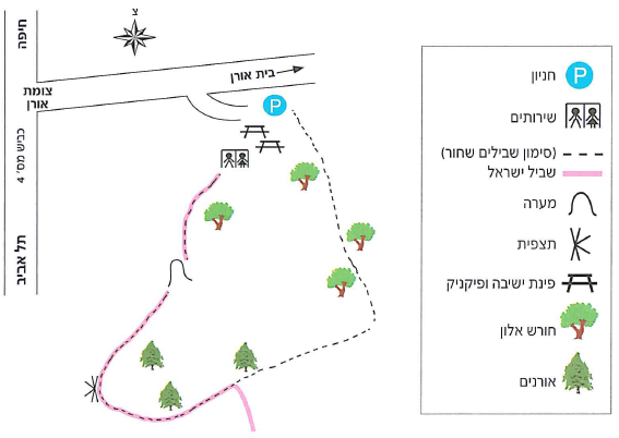 (בספר תמונה של עטלפים) צילום: ג'נס ריידל